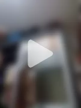 Binhosex2024 photo 2