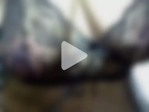 BiniBininggen photo 27