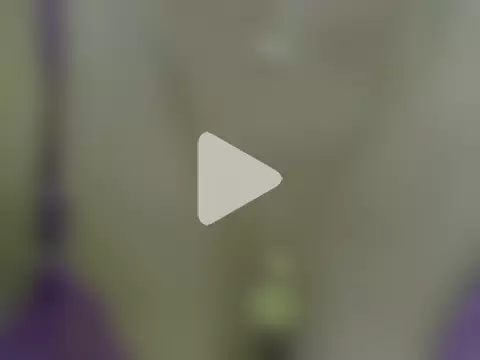 BiniBininggen photo 22