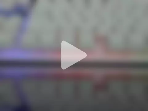 BiniBininggen photo 9