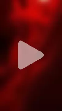 BirdyOfficial__ photo 1