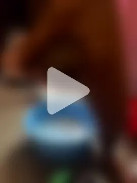 BlabbedMonkfish photo 1