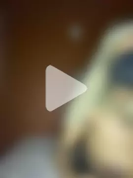 BlackApple__ photo 3