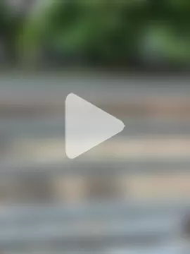 BlackCock9988 photo 10