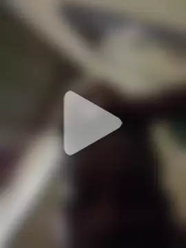 BlackMamba_Cock photo 4