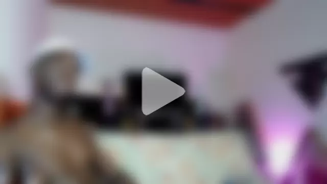 Black_Paradice photo 14