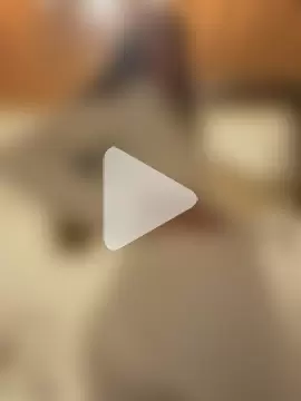 Black_sweet_Rose photo 12