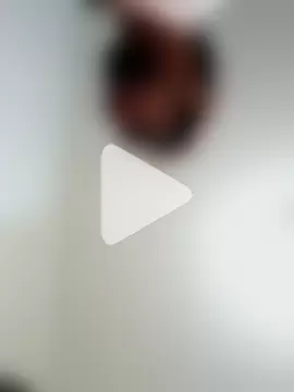 Blacksnakeegaelrei photo 9