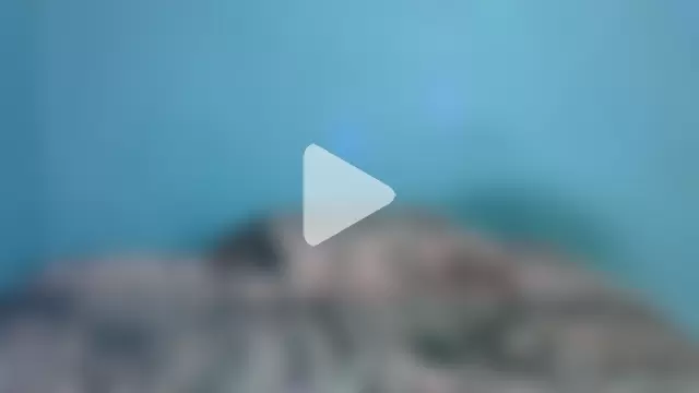 BlondieBitch photo 17