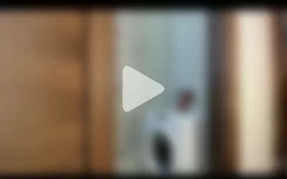 BloomSecrets photo 4