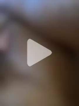 BodenseeSNG photo 25