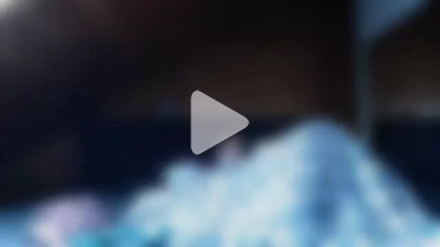 BoeseMoni1998 photo 10