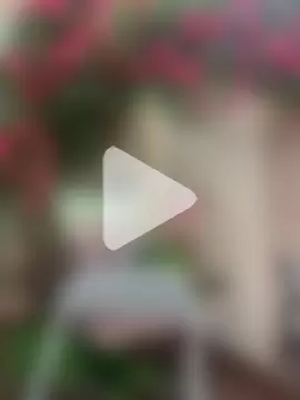 Bollozzy_89 photo 20