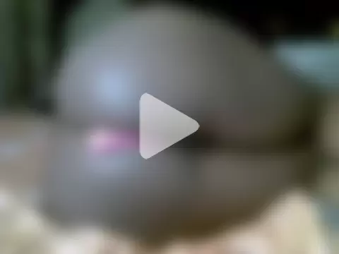 Boujee_tyra photo 23