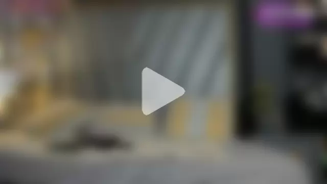 BrendaAdams_ photo 18