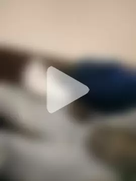 Brian_johns photo 16