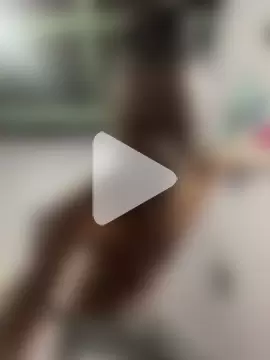 BringBackLostLover photo 12