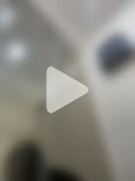 Brunettecollins05 photo 25