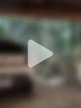 Buffshagswell photo 20