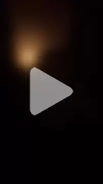 Buffshagswell photo 8