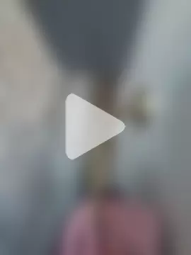 BulbasaurIsmettv photo 2