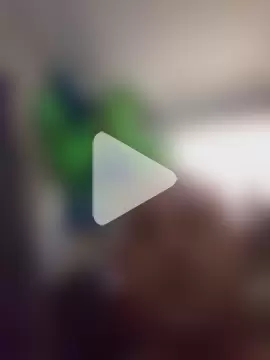 BulbasaurIsmettv photo 15