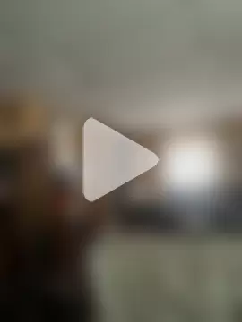 BunnyYT photo 17