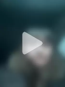 Butterfly8385 photo 26