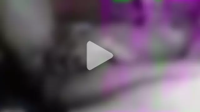 Cachinhospreto photo 2