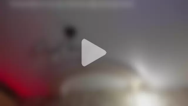 Cactus__James photo 21