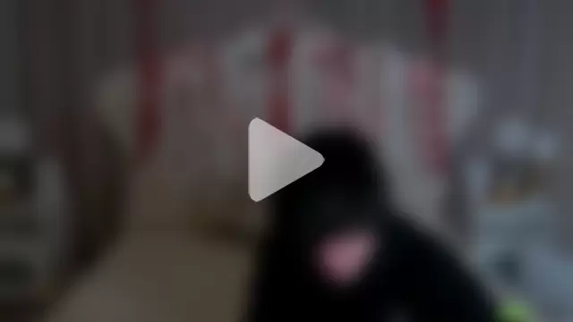 CalvinOwens photo 28