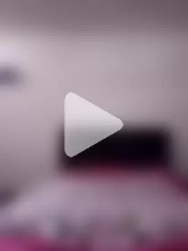 Cameron_puppy photo 4