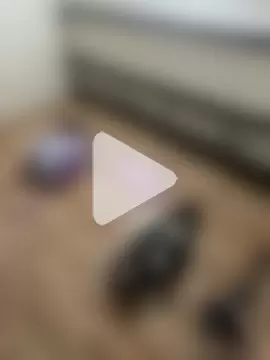 Candy_Lennon photo 4