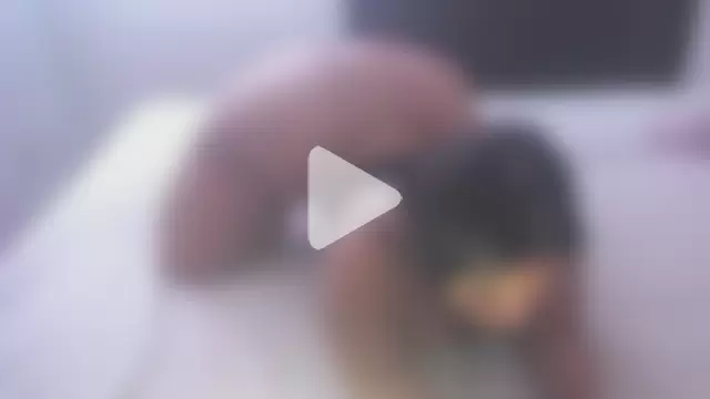 CandyceHolt photo 20