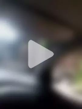 Carabina1991 photo 1