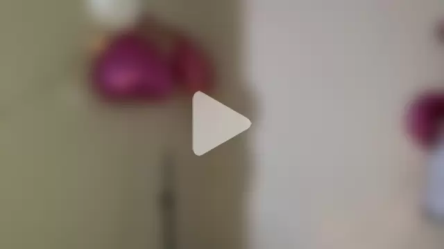 CarollFalick photo 6