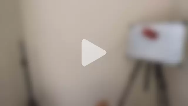 CarollFalick photo 5