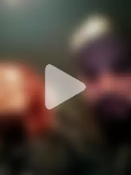 Casaltesudex photo 11