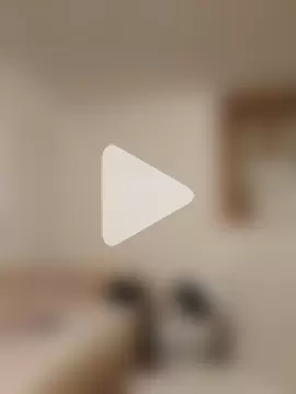 Casianantoonnio photo 15