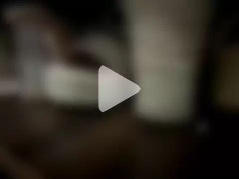 CatDogAlexxx photo 6