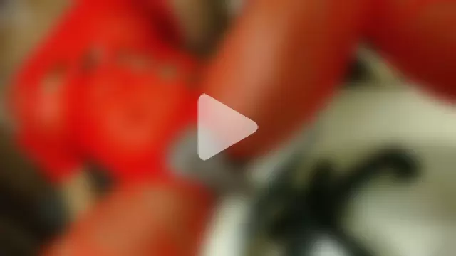 CatrinaGill photo 22