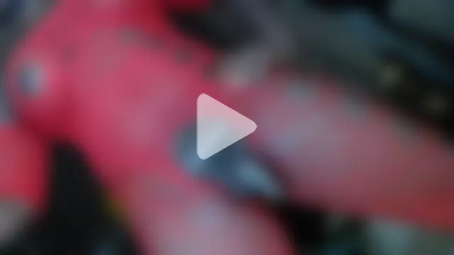 CatrinaGill photo 21