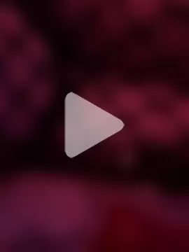 Celalileceren photo 1