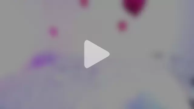 ChannelCox1 photo 26