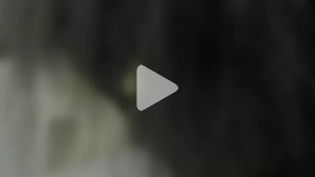 Chantal_bony photo 16