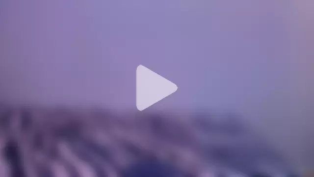 Chantal_taylor_ photo 3