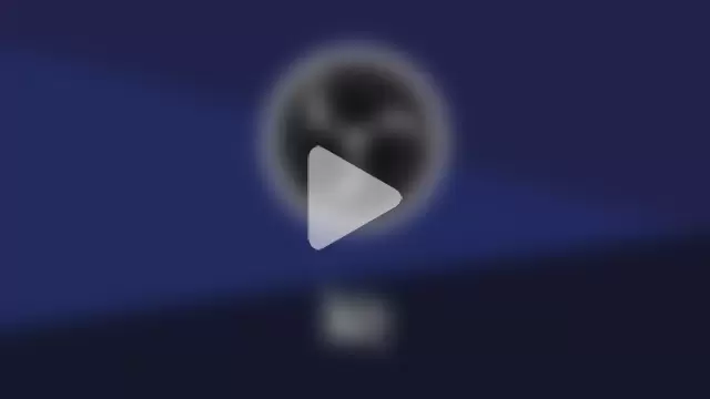 ChantillyBonbon photo 4