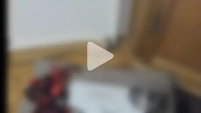 Chao_Key_und_Capitan photo 2