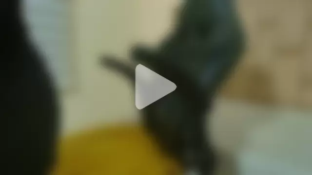 CharlotteSchmidtt photo 10