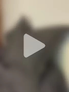 Chic_desire photo 15